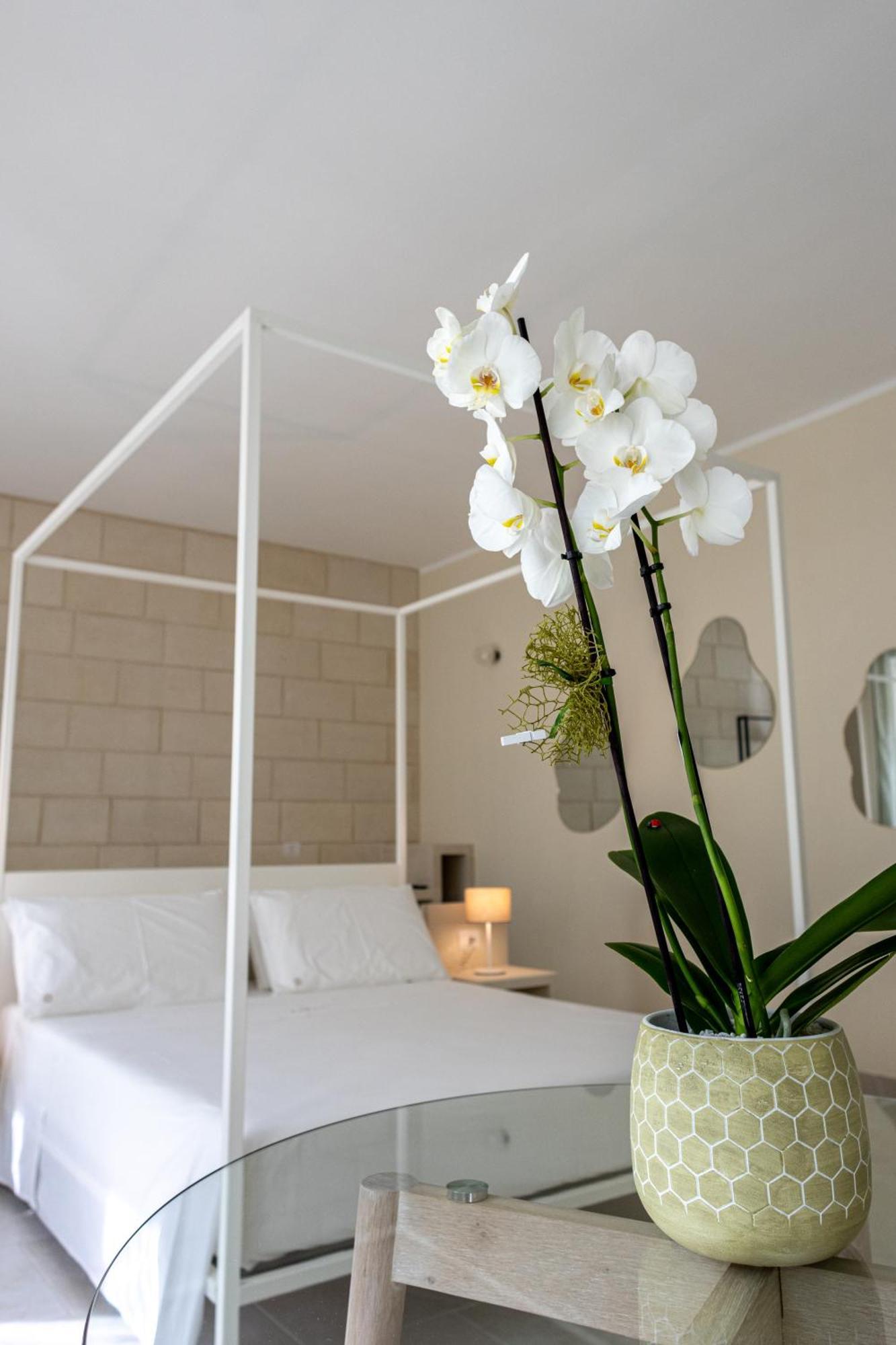 Oronti Accommodations ليتشي المظهر الخارجي الصورة